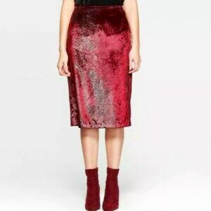 NWT - Women's Midi Metallic Shine Midi Skirt - A New Day - Size 6